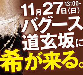 2011-kato_premium11.jpg