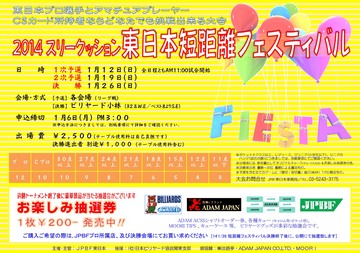 2014_FIESTA_1.jpg