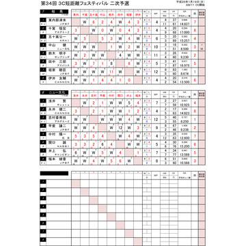 2014_FIESTA_5-4.jpg
