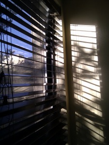 IMAG0197.jpg