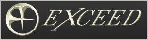 exceed.jpg