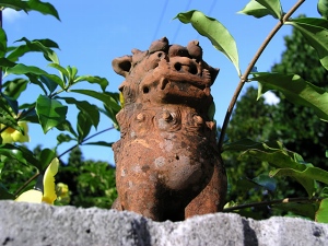 oki_092.jpg