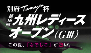 tamay2012.jpg